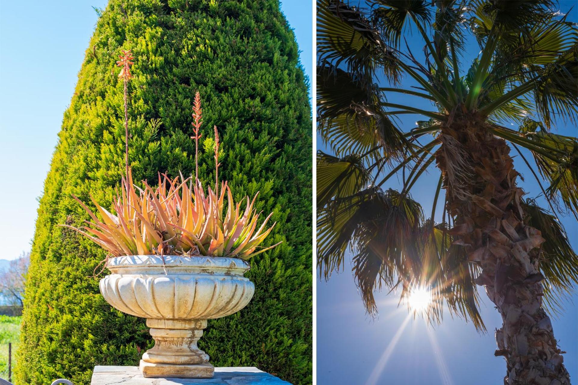 Apartmán Christina'S Twin Palm Trees House Agria Exteriér fotografie